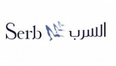 سرب الدولية